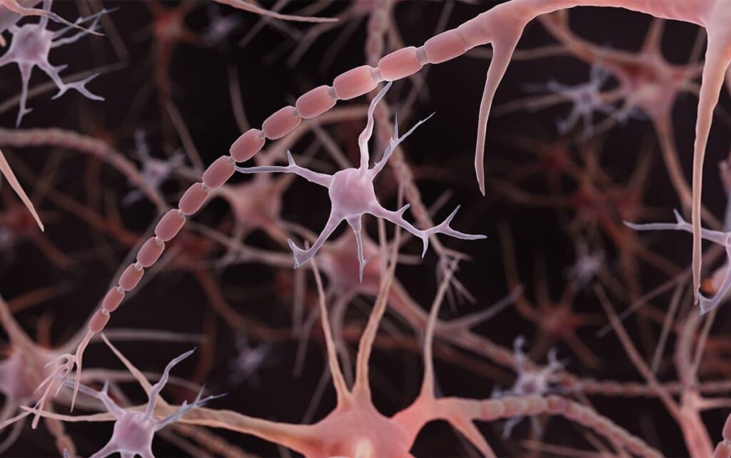 Alzheimerio liga, švytintis smegenų modelis tamsiame fone su oranžiniais nerviniais ryšiais